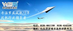 河北羅茨風機市場的發展